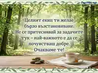 Пожелание за бързо възстановяване от екип: Не се притеснявай за задачите, важно е да си добре. Успокояващ горски фон.