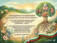 Поздрав за лекар ендокринолог-андролог