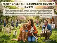 Международен ден на домашните любимци: 11 април – празник на любовта към животните и призиви за осиновяване.