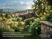 Честит Международен ден на котката! Пъргава котка скача в градина, празнувайки котешкия ден с интересен факт.