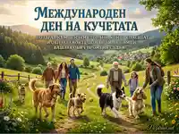Международен ден на кучетата: Щастлива разходка с домашни любимци сред природата.