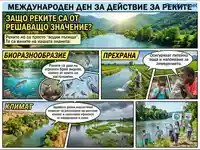 Международен ден за реките: Защо са жизненоважни за биоразнообразието, прехраната и климата.