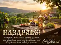 Наздраве с ракия и грозде на фона на залез над лозя. Пожелания за здраве и щастие.