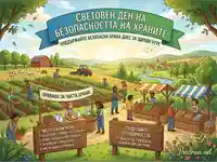 Световен ден на безопасността на храните: От полето до трапезата – правила и отговорност за здраво бъдеще.
