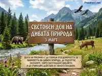 Световен ден на дивата природа: Мечка, елен и орли в планината, призив за опазване на видовете на 3 март.