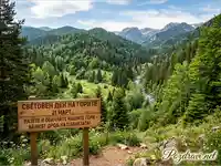 Планински пейзаж с река и табела за Световния ден на горите, призоваваща за опазване на природата.