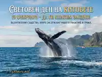 Световен ден на китовете (19 февруари): Гърбат кит скача в морето. Опазване на морските създания.