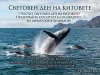 Световен ден на китовете: Гърбат кит изскача от водата, призив за опазване на океанските великани.