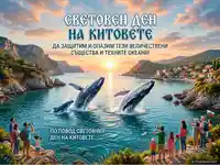 Световен ден на китовете: Призив за опазване на морските гиганти и техните океани