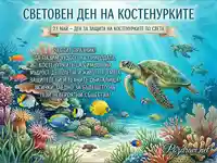 Световен ден на костенурките: 23 май. Празник за защита на морските обитатели и красотата на подводния свят.