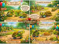 Забавен комикс за Деня на костенурките със състезание и неочакван финал