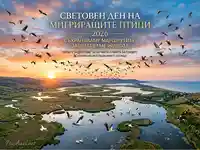 Световен ден на мигриращите птици 2026: Опазване на маршрутите и живота в красив залез над влажна зона.
