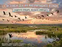 Световен ден на мигриращите птици: Защитете ги, опазете природата. Красив пейзаж с ята птици.
