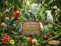 Световен ден на папагалите: 31 май - празник на красотата и защитата на тези екзотични птици в джунглата.