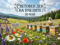 Поздравителна картичка за Световен ден на пчелите 20 май: Пчеларка, кошери и цветя.