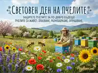 Световен ден на пчелите: Пчеларка сред кошери и цъфтяща ливада.