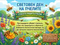 Световен ден на пчелите: Защитете ги от пестициди! Цветна илюстрация с пчели и призив за екология.