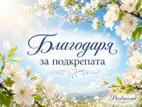 Пролетна сцена с цъфнали бели цветове и надпис „Благодаря за подкрепата“