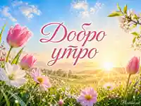 Слънчево добро утро с розови лалета, маргаритки и пролетна поляна в сиянието на изгрева