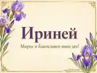 Ириней с лилави ириси и благослов за имен ден
