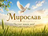 Мирослав с гълъб, житно поле и надпис „Честит имен ден!“