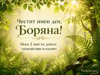 Слънчева пролетна гора с папрати и надпис „Честит имен ден, Боряна!“