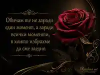 Червена роза и златен любовен цитат върху тъмен елегантен фон