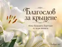 Бяла лилия с роса и топъл слънчев фон с надпис „Благослов за кръщене“