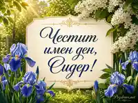 Честит имен ден, Сидер с ириси и златиста рамка