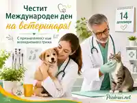 Международен ден на ветеринаря с куче, котка и благодарност към ежедневната грижа