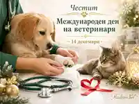 Ветеринар се грижи за куче и котка за Международния ден на ветеринаря
