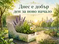 Слънчево ново начало със свежи цветя и утринен парк