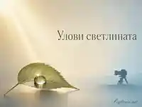 Утринна светлина върху листо с роса за Деня на природната фотография