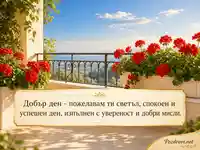 Слънчев балкон с мушката и пожелание за светъл, спокоен и успешен ден