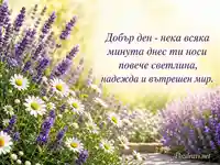 Слънчев добър ден с лавандула, лайки, светлина и вътрешен мир