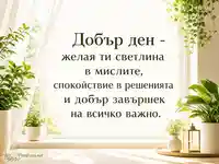 Слънчев добър ден със спокойствие, светлина и зелени растения