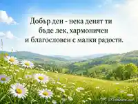 Слънчева поляна с маргаритки и благословение за добър ден
