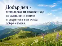 Спокоен добър ден със светъл планински хоризонт и полски цветя