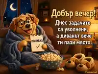 Забавен добър вечер с куче, диван и задача почивка