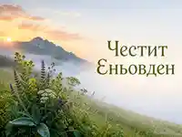 Еньовденска картичка с билки, мъгла и планински изгрев