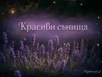 Лавандулова вечерна градина с надпис „Красиви сънища“