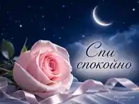 Романтична картичка за лека нощ с розова роза, полумесец и надпис „Спи спокойно“