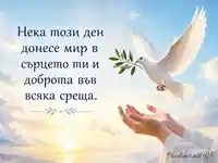 Бяла гълъбица и послание за мир в сърцето