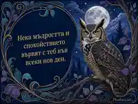 Арт нуво картичка с бухал и луна за Деня на дивата природа