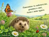 Пъстра картичка за Деня на дивата природа с таралеж, пеперуда и калинка