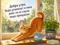 Добро утро с рижава котка, кафе и слънчев прозорец