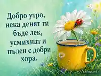 Добро утро с жълта чаша, маргаритка и калинка