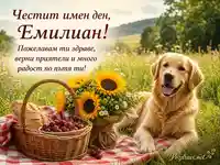 Рустик пикник за имен ден на Емилиан