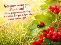Лятна картичка за имен ден на Калинка с калинка, листа калина и червени плодове