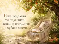 Тиха неделя в градина с хамак, книга и топло пожелание
